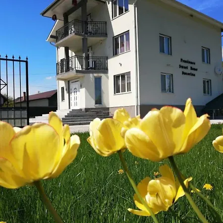 Sweet Bucovina Petreceri Private Si Majorate Frasin