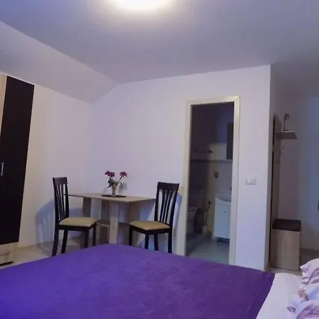 Guest house Sweet Bucovina Petreceri Private Si Majorate Frasin