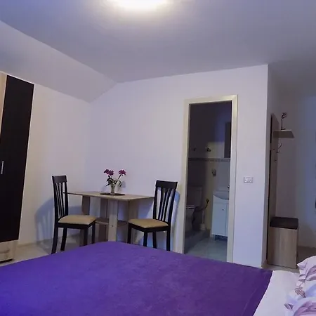 Guest house Sweet Bucovina Petreceri Private Si Majorate *